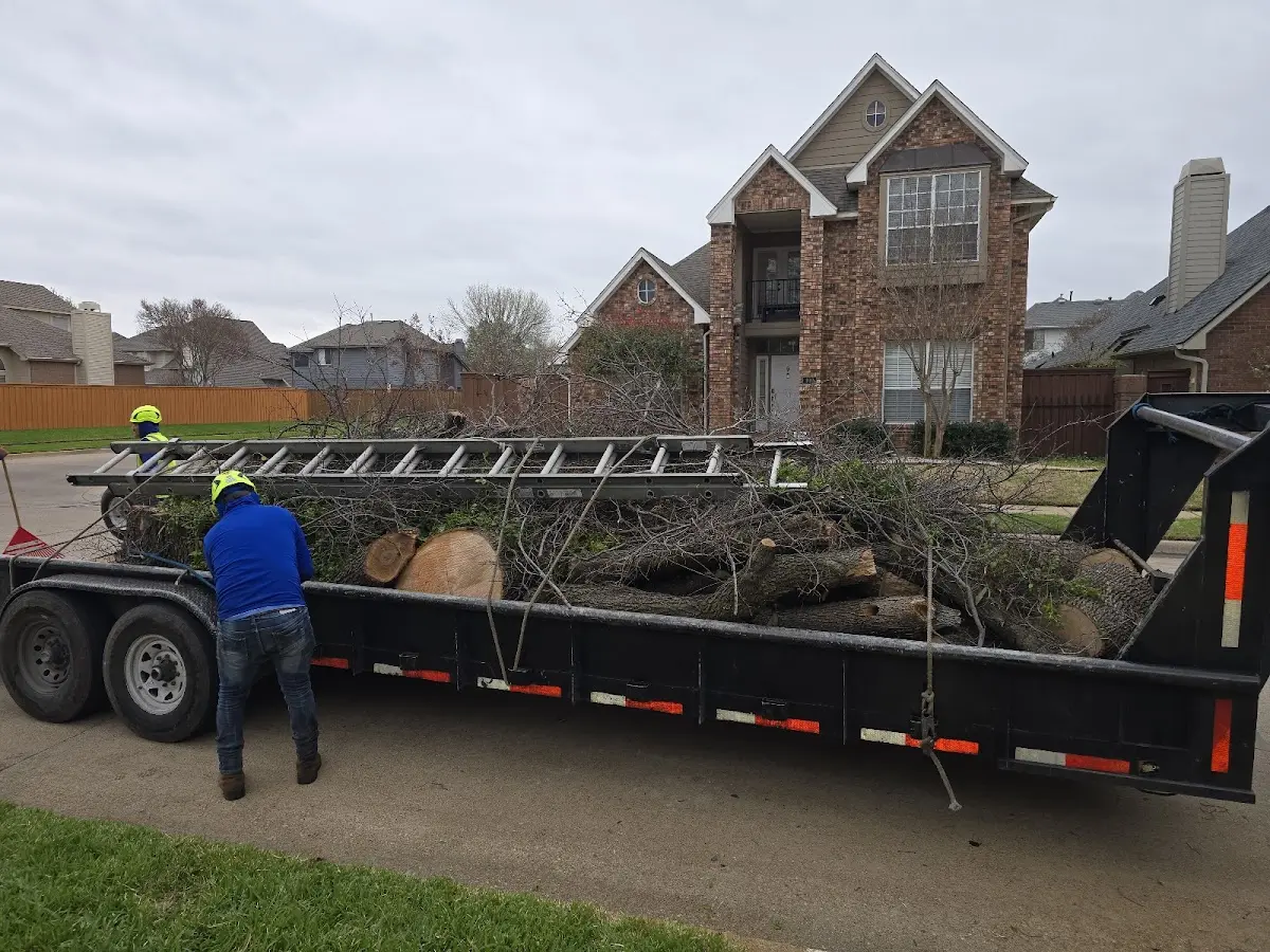 Expert Crown Reduction with proper safety equipment in Crooksville